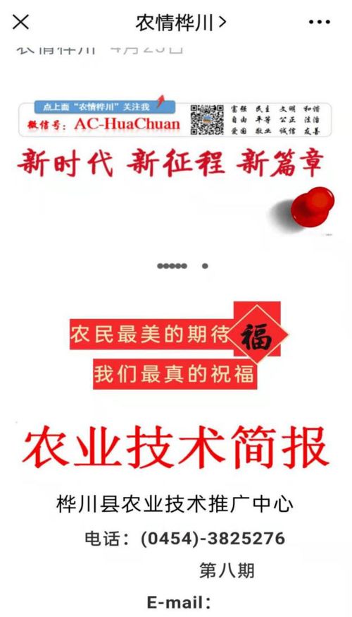 科技助力春耕 服務(wù)送到田間——樺川縣農(nóng)技推廣中心下鄉(xiāng)指導(dǎo)春耕春播
